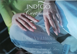 Indigo Nails Conference 2022 vol. 4