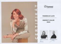 Framesi - Perfect color 2024